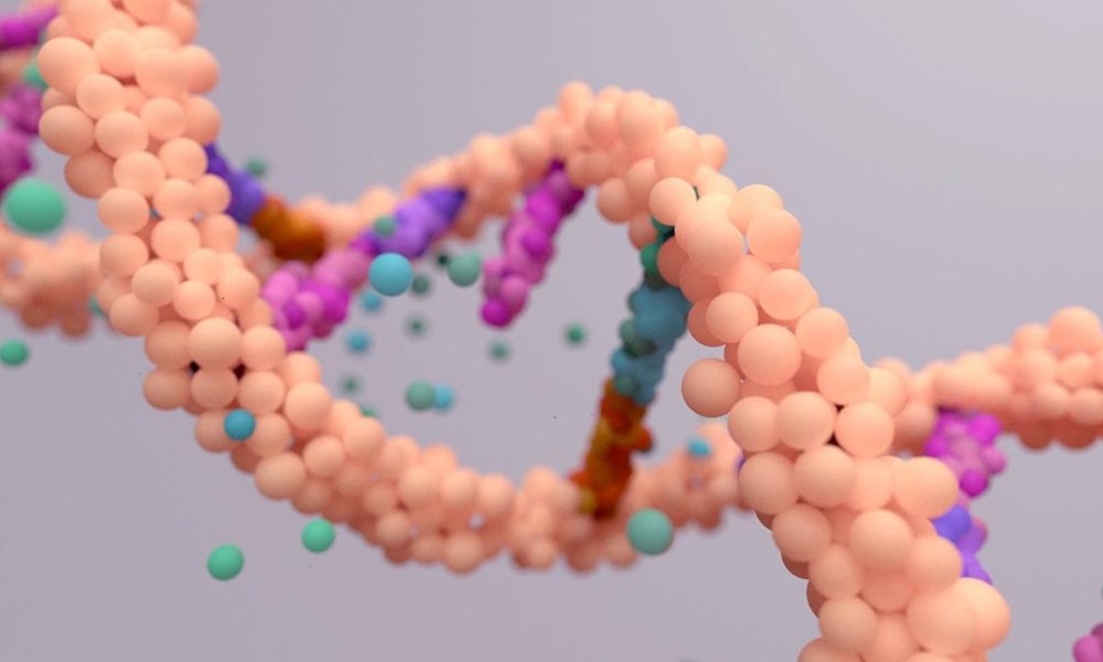 Preimplantation Genetic Screening PGS