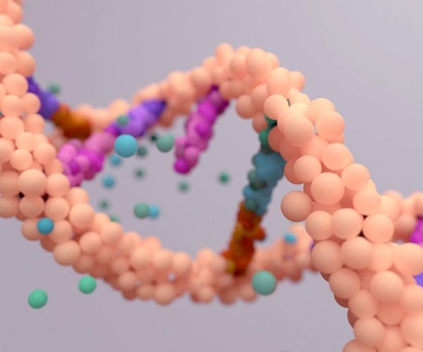 Preimplantation Genetic Screening PGS