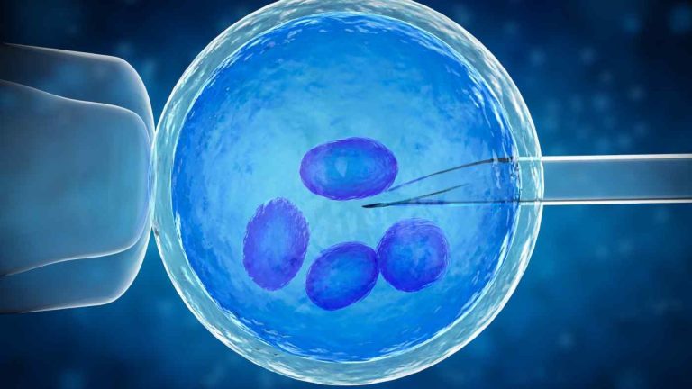 Preimplantasyon Genetik Tanı