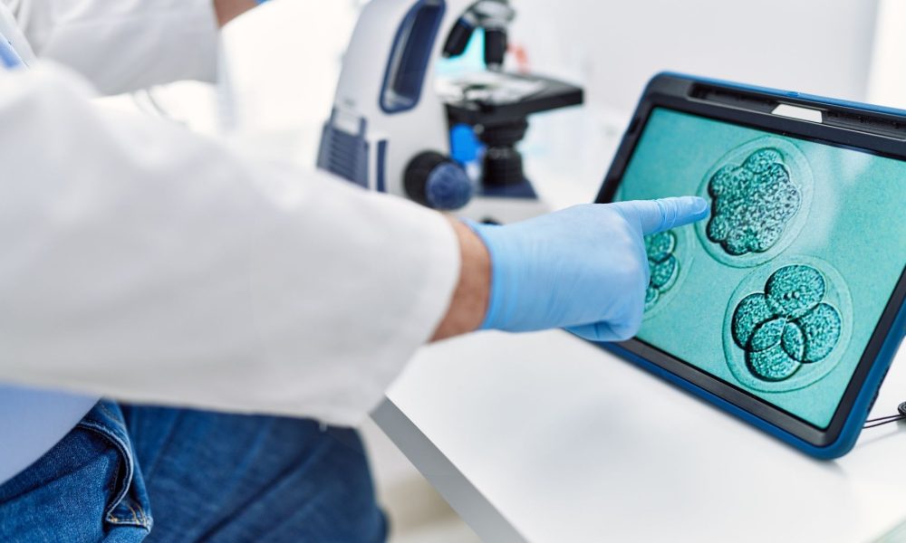 Yumurta, Sperm ve Embriyo Bağışı Nedir Donör IVF Tedavileri Rehberi