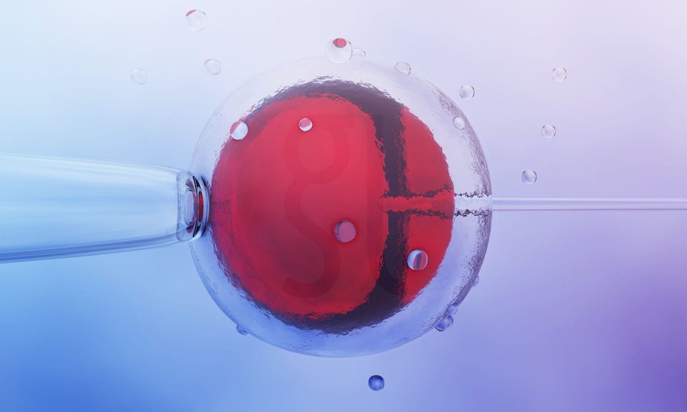IVF Nedir Tüp Bebek (In Vitro Fertilizasyon) Hakkında Eksiksiz Bir Rehber