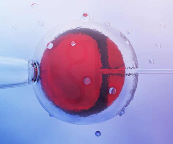 IVF Nedir Tüp Bebek (In Vitro Fertilizasyon) Hakkında Eksiksiz Bir Rehber