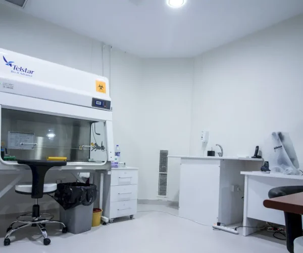 gynolife ivf cyprus fertility center 3