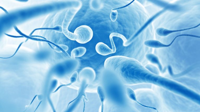 sperm bağişi