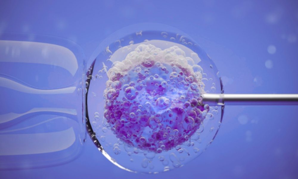 embryoglue